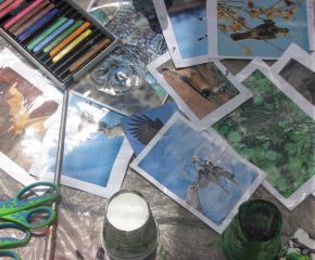 The Taos Youth Art & Biodiversity Project